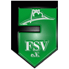 Logo/Foto Flechtinger SV