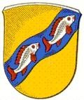 Logo SG Weilrod