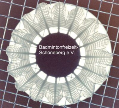 Logo Badmintonfreizeit Schöneberg e.V.
